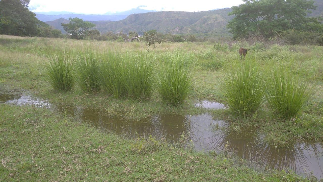 Altillo