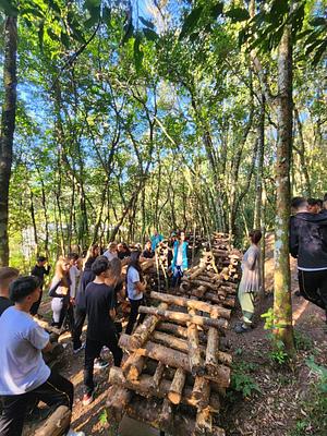 Shiitake cultivation training at Karina's farm