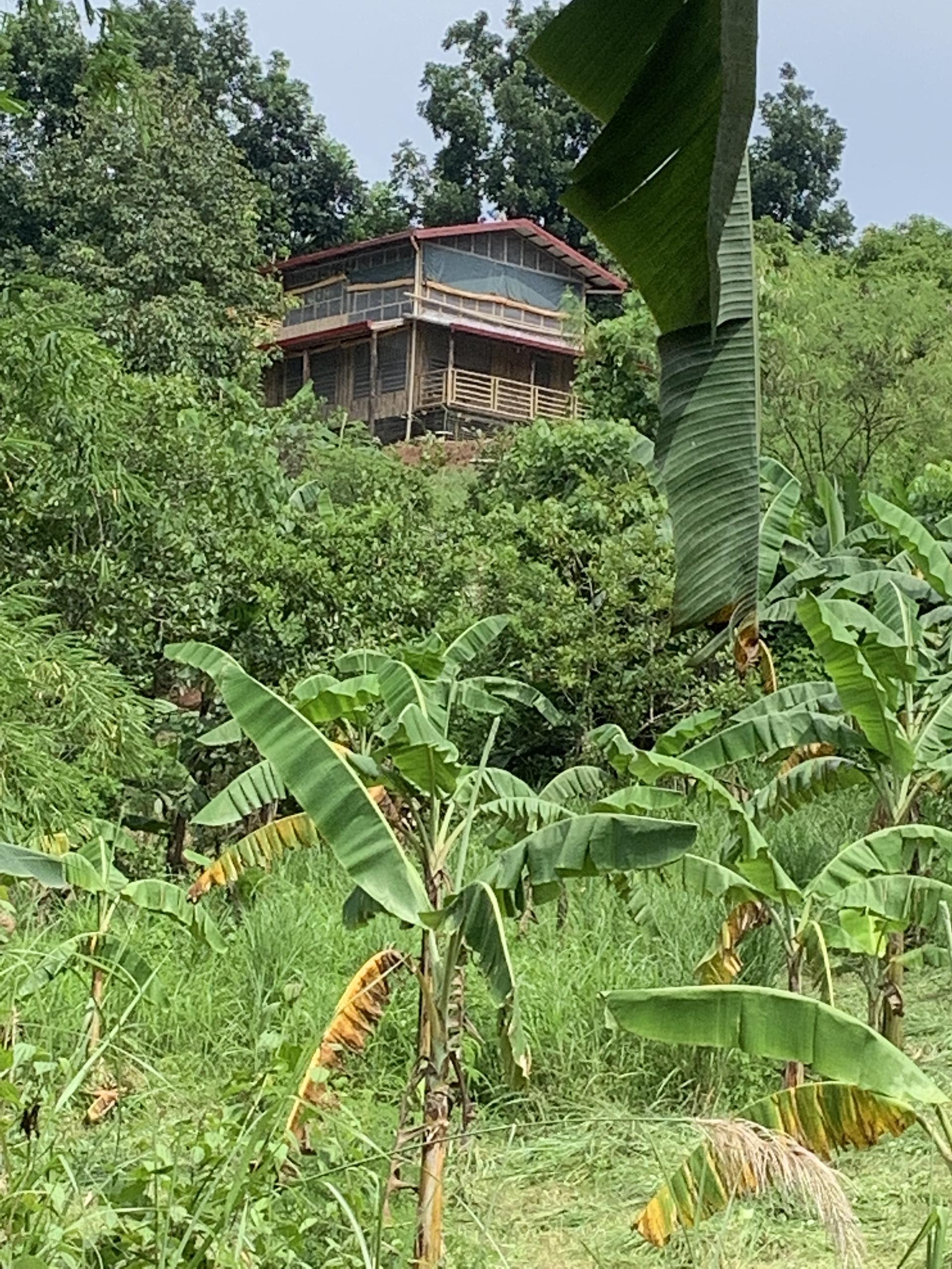 Integrated, diversified, organic farming