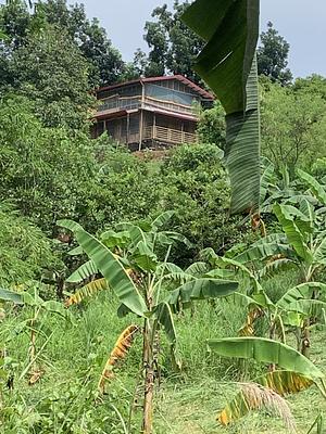 Integrated, diversified, organic farming
