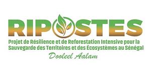 Fao Senegal Ripostes