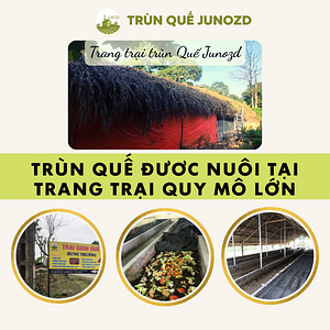 Junozd farm