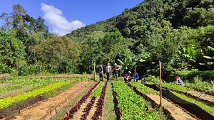 Agroecological production