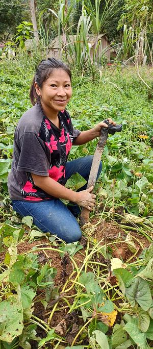 agroecology in indigenous communities