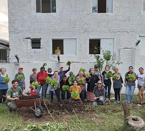 urban community garden
