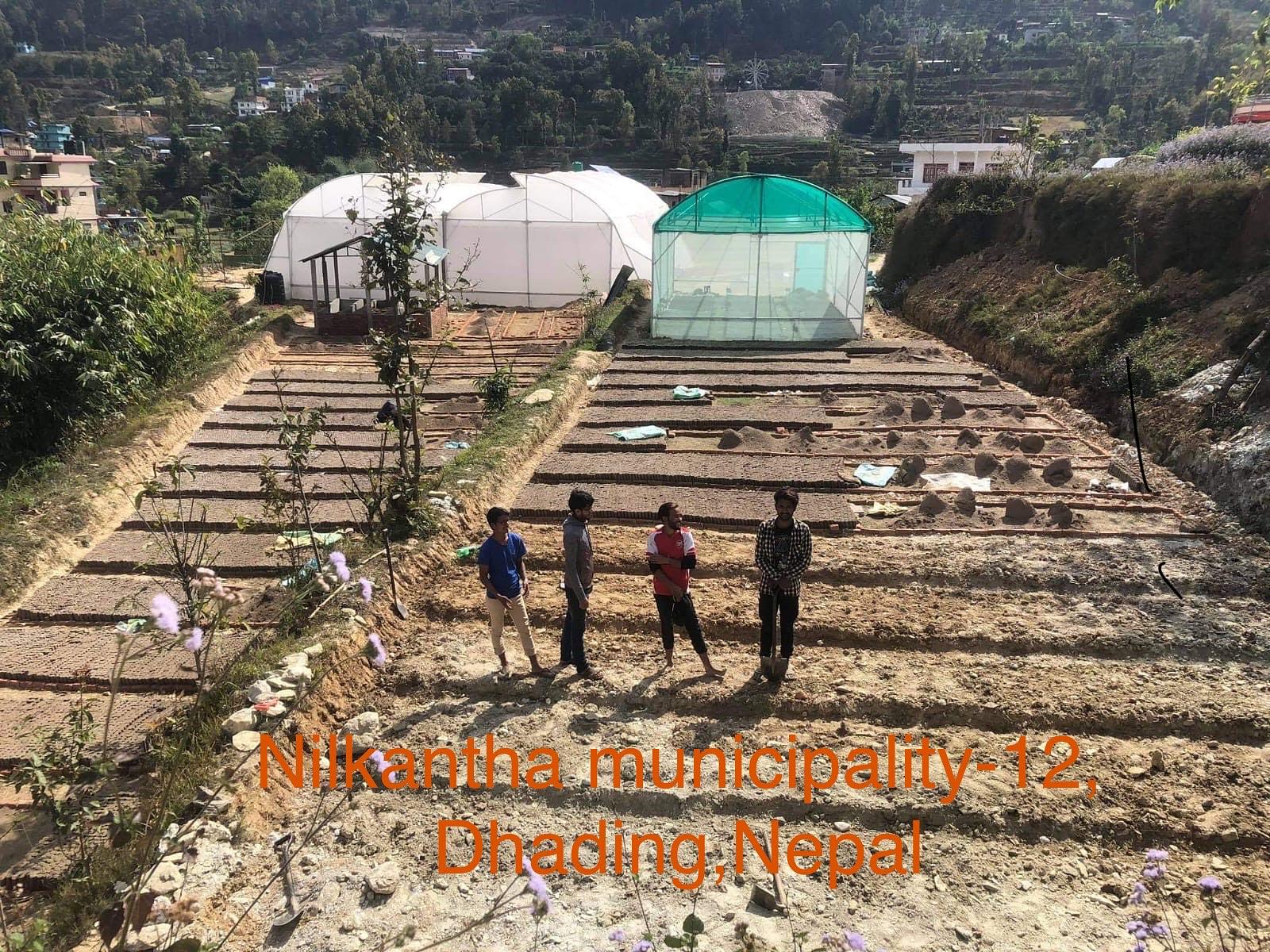 Dhading
