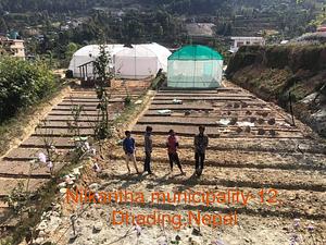 Dhading