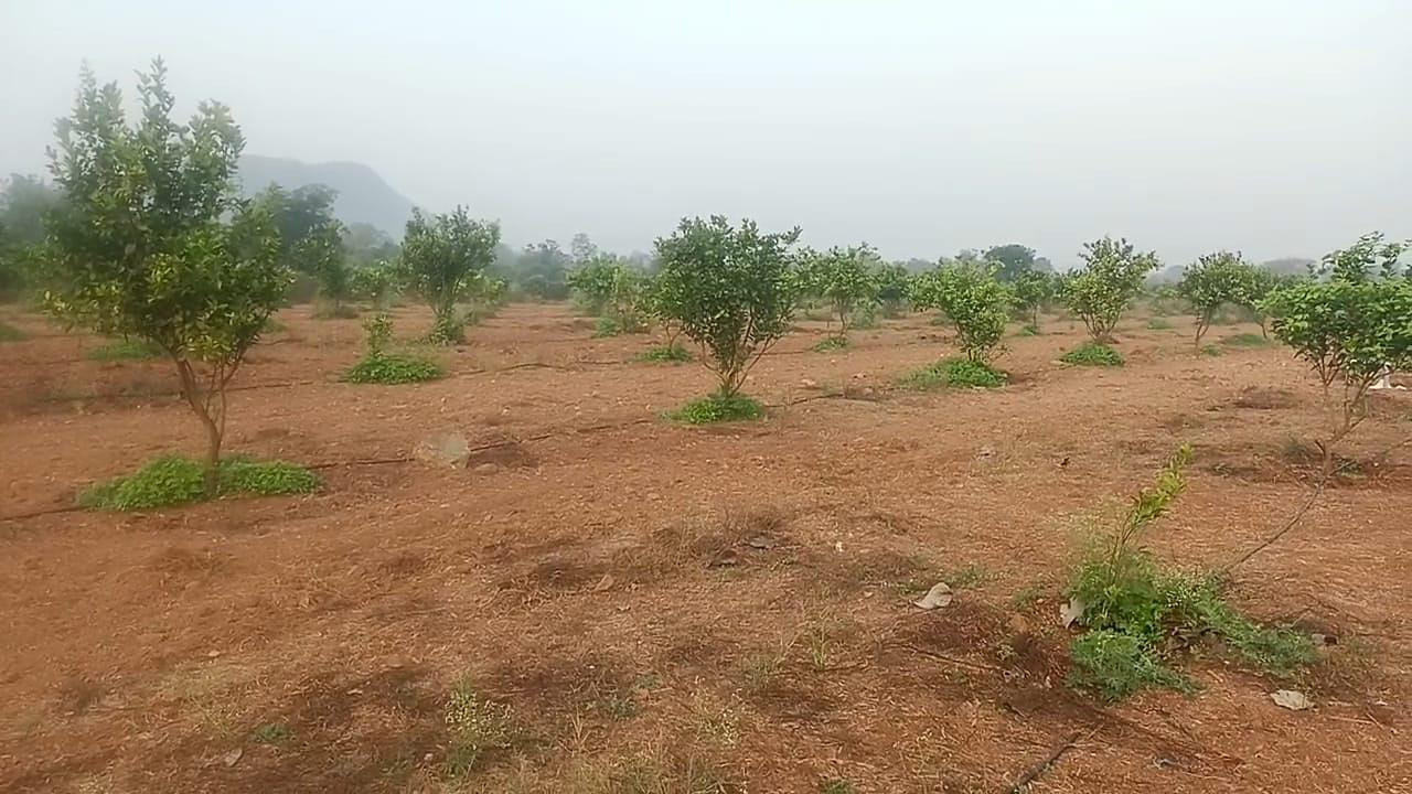 Sarikondapalem