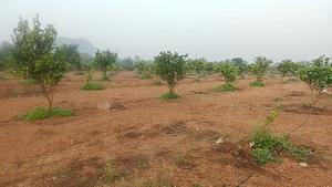 Sarikondapalem