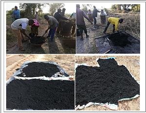 LA valorisation de végétaux aquatiques envahissants en biochar