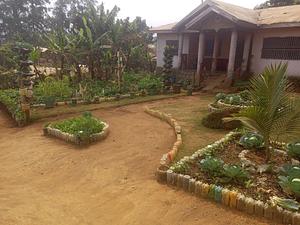 Oasis Urban Garden and Landscaping Alakuma, Mankon, Bamenda