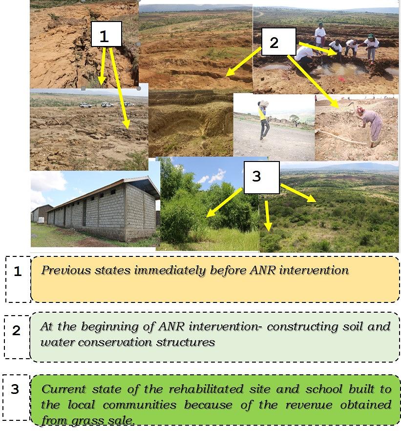 Sodo Guragie ANR Site