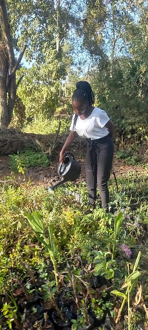 TREE PLANTING