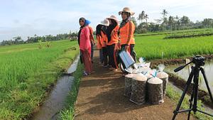 Our activity in the field, to apply an organic briquettes fertilizer.