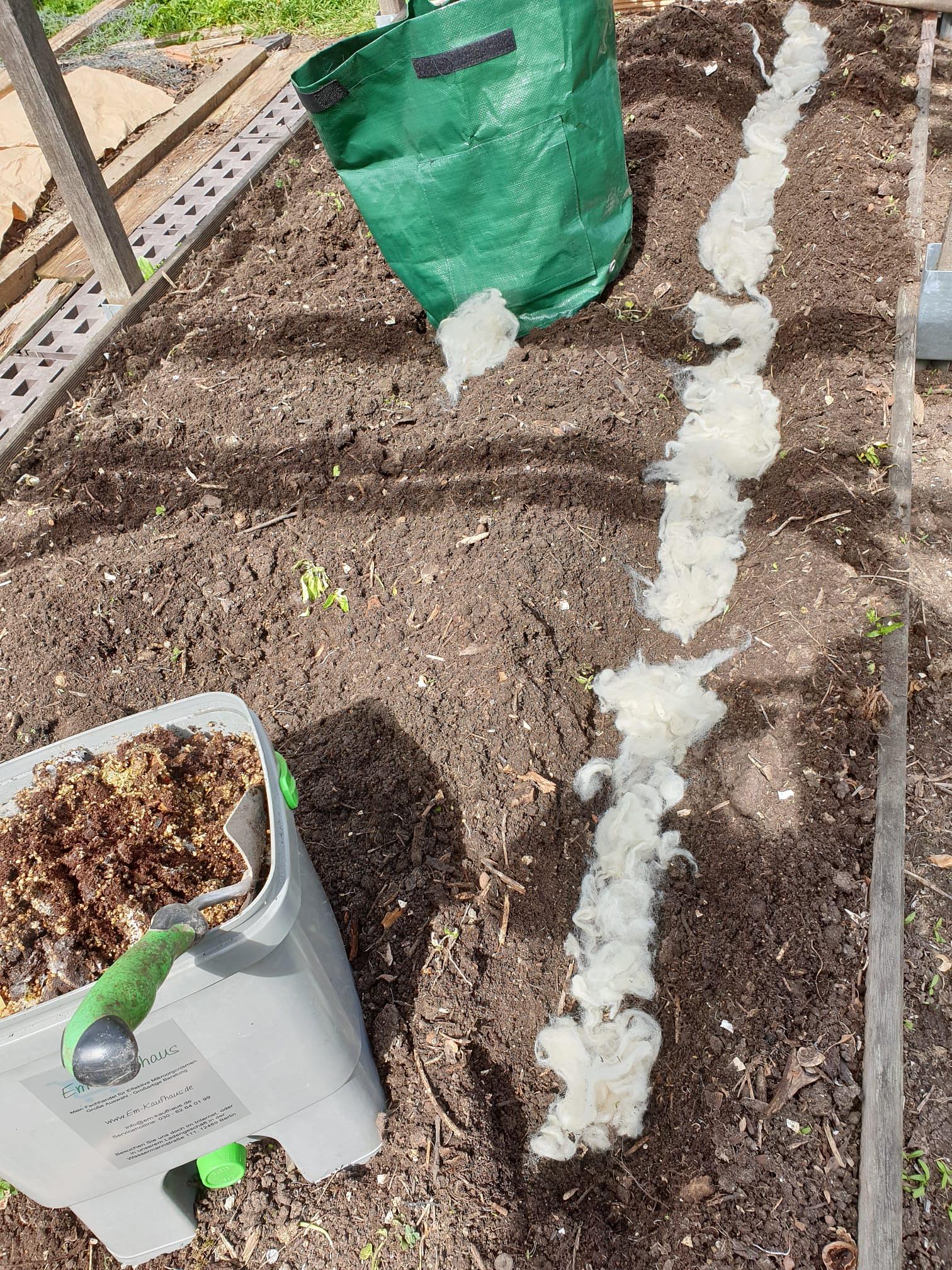 Sheep wool or sheep wool pellets