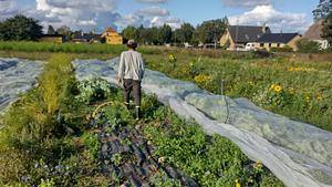 Community Supported Agriculture