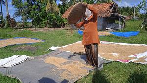 increase crop yield