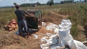 harvesting experimental results