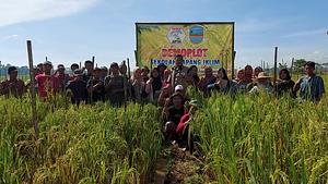 our research farmer