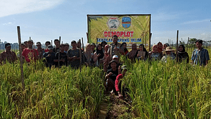 our research farmer