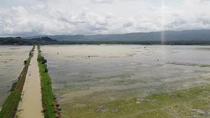 rice flood-prone areas