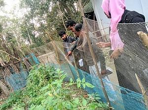 Morelganj, Bagerhat