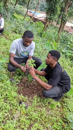 La plantation des arbres dans des sites menacé par les érosion pour lutte contre le changement climatique.