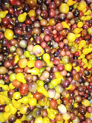 some kinds of tomatoes