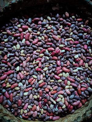 some of the 250 differents kinds of beans we have
