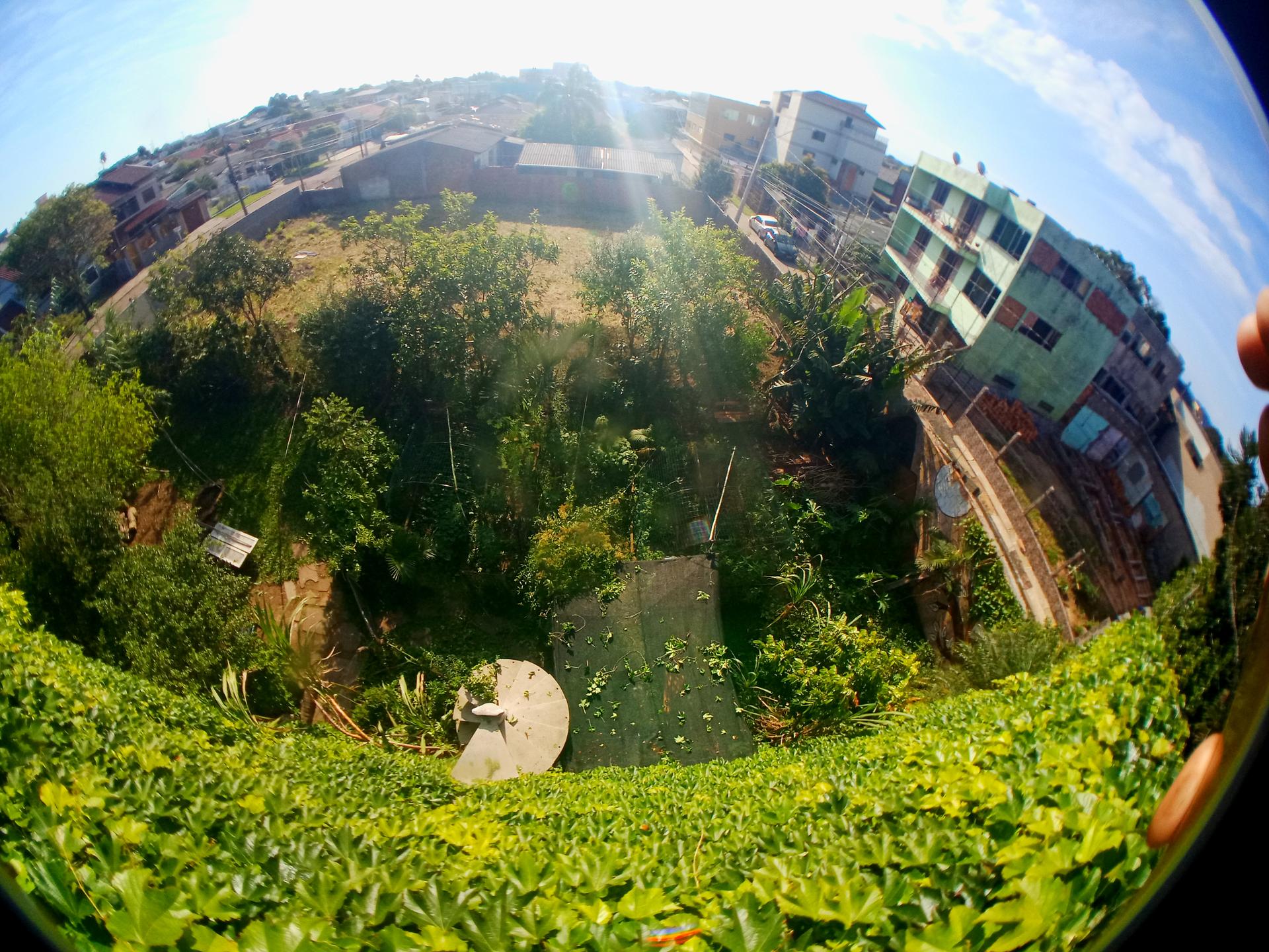 Urban Mixed Agroforestry