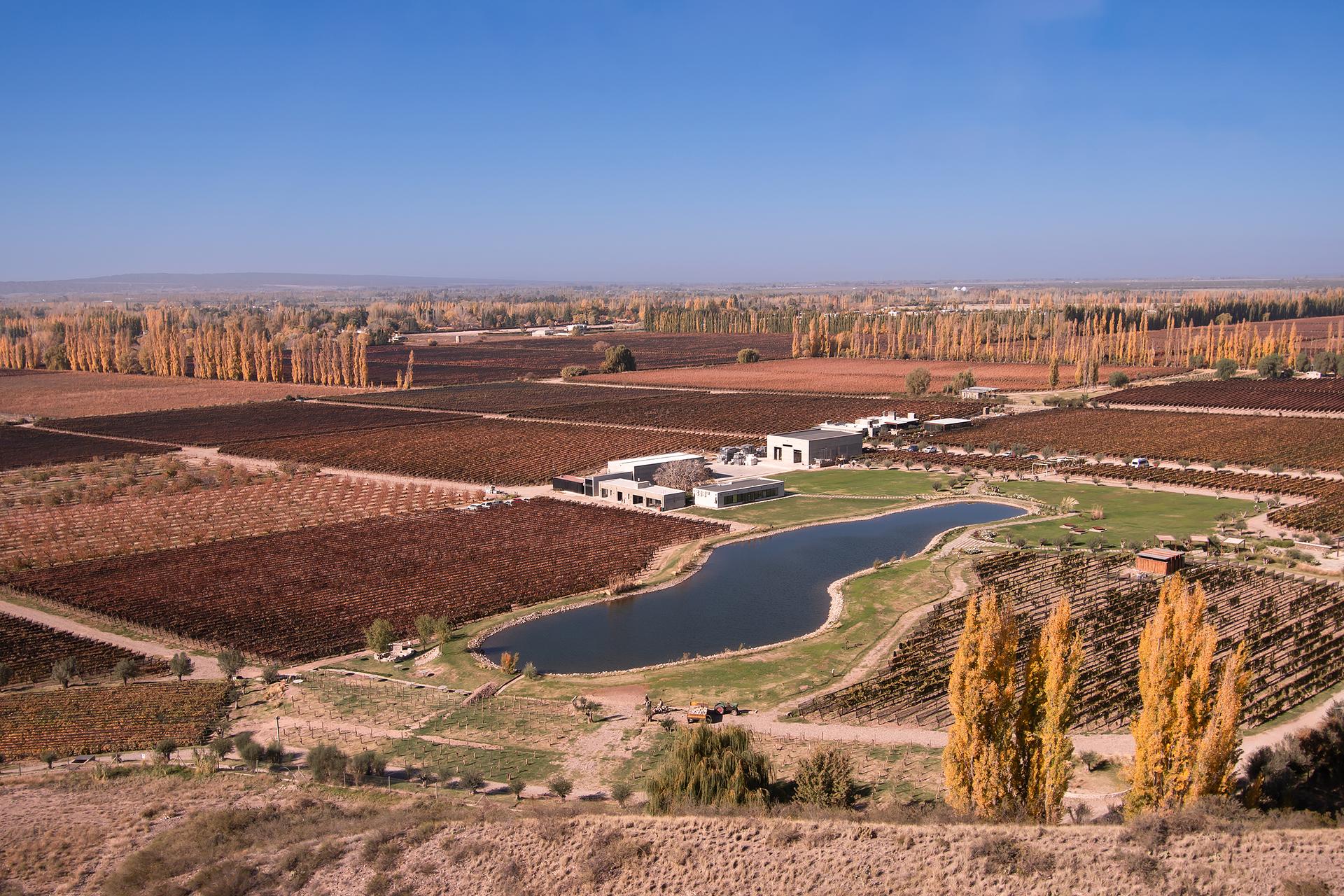 Durigutti Family Winemakers