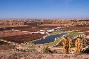 Durigutti Family Winemakers
