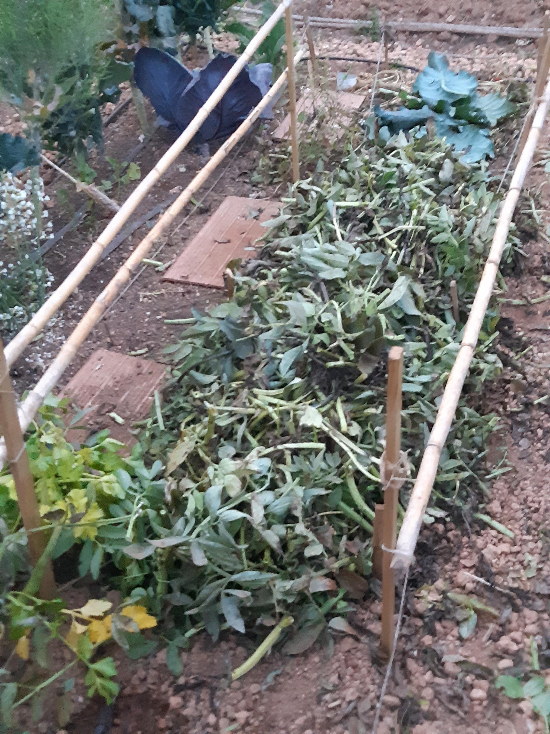 Mulching