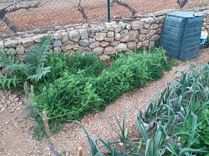 Abono verde y Compost