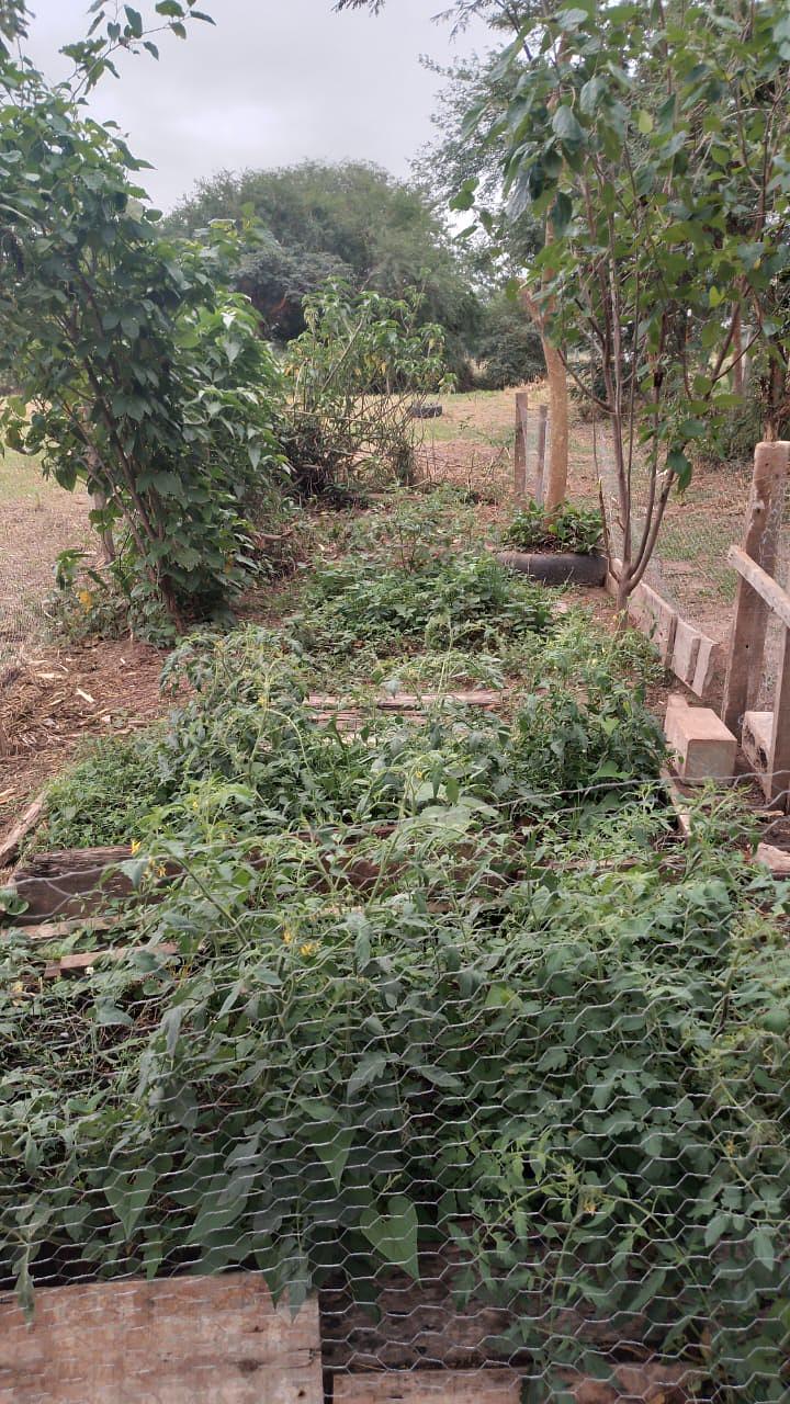 Family farming