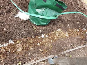 10 Cm Trench Filled With The Bokashi Compost
