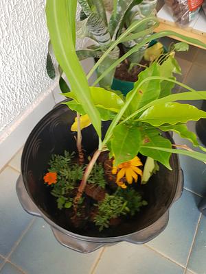 Happy Day! Many New Seedlings