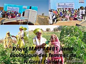 Promotion des pratiques des jardins agro écologiques durables et fabrication de fertilisant bio pesticide dans la commune de RIYAD à Nouakchott