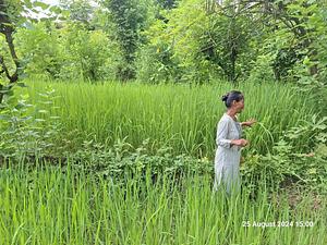 Surkhet, Karnali Province, Nepal