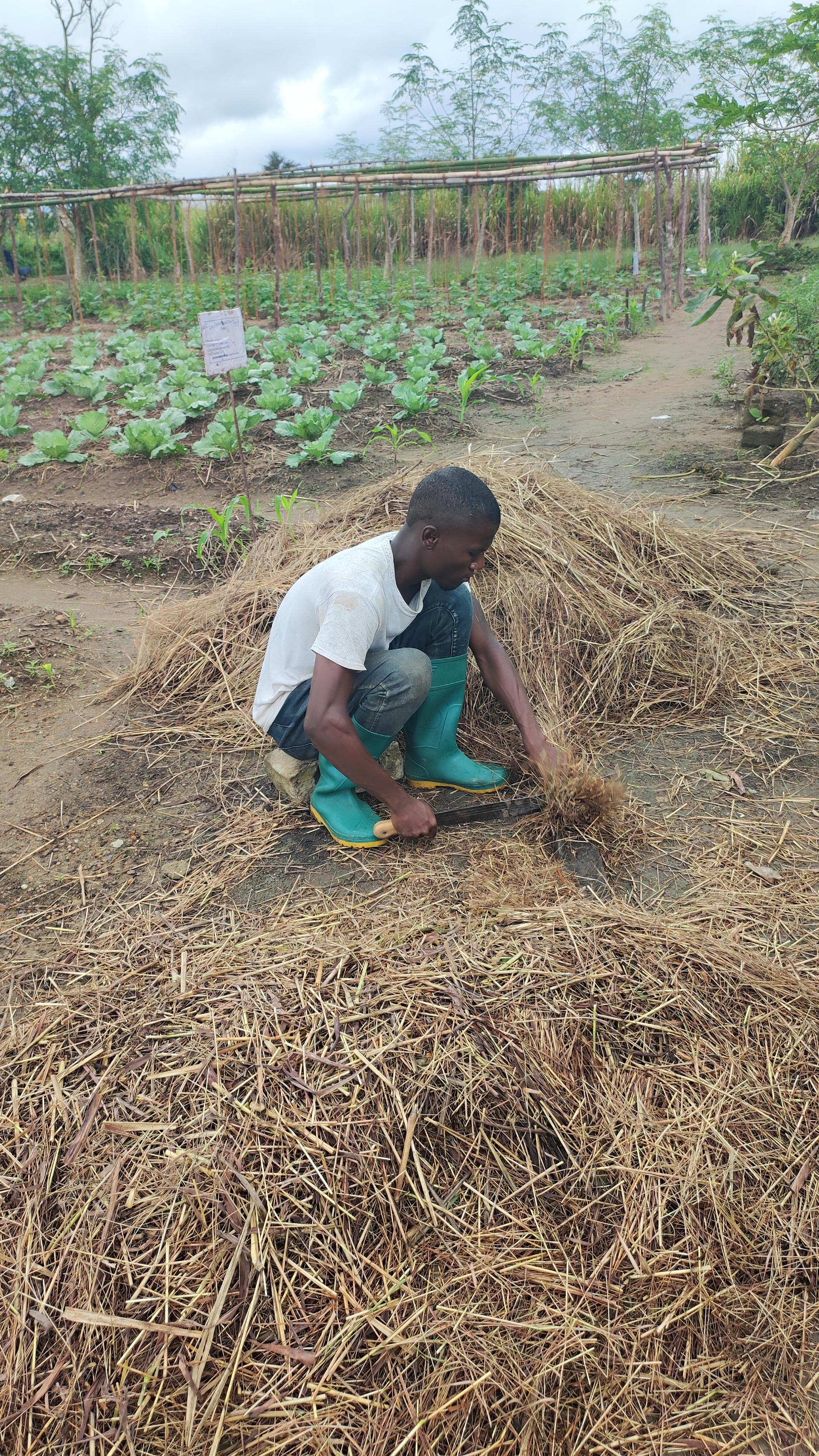Mulching preparation