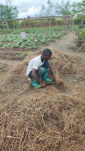 Mulching preparation