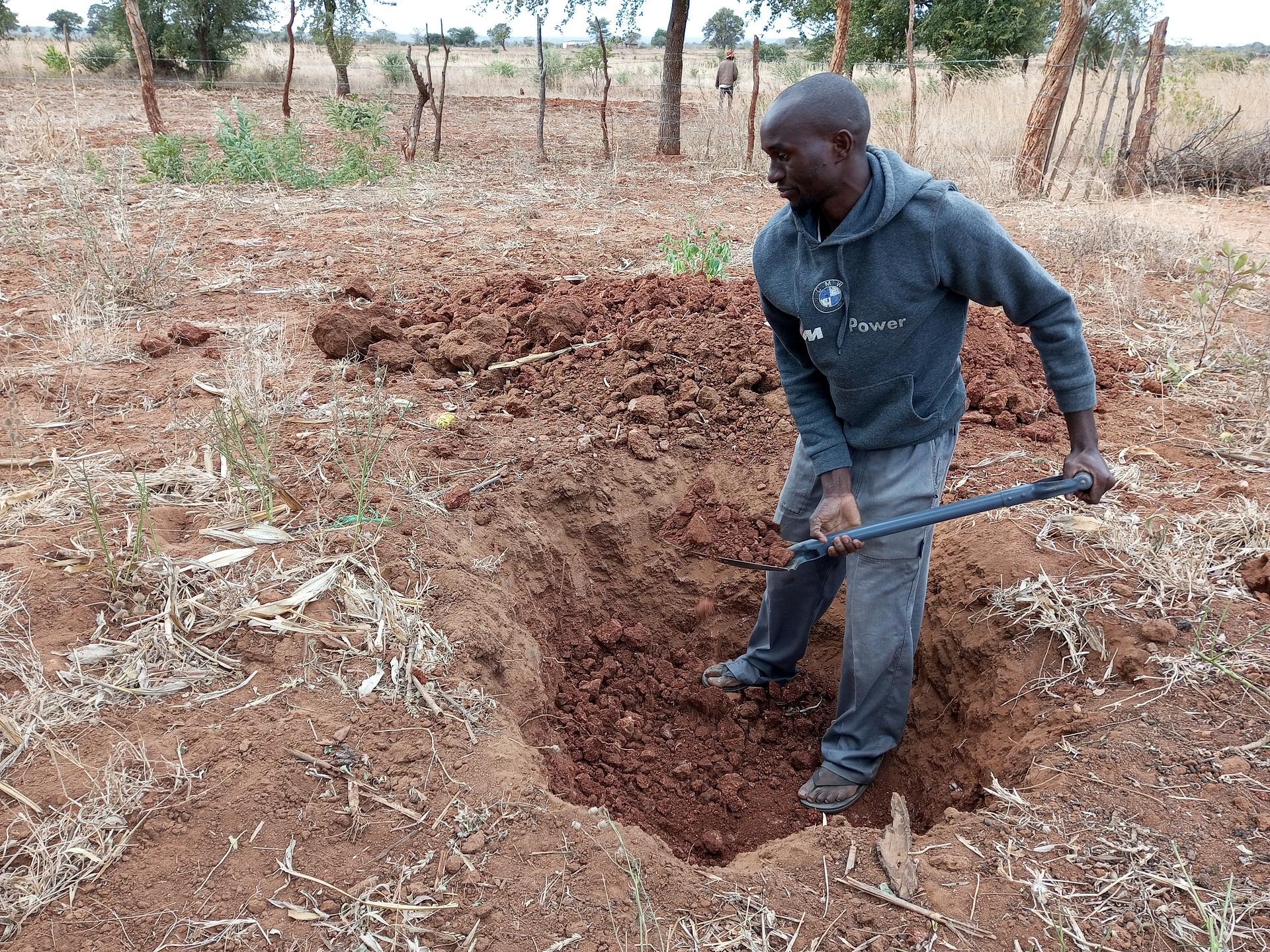 Tree planting