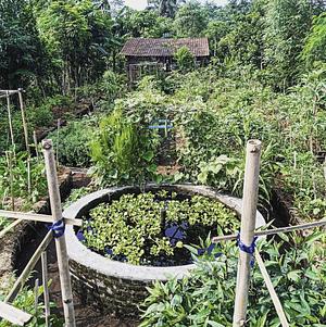 Tempurejo Regenerative Agroecology Development Indonesia (TRADISI) Berguru