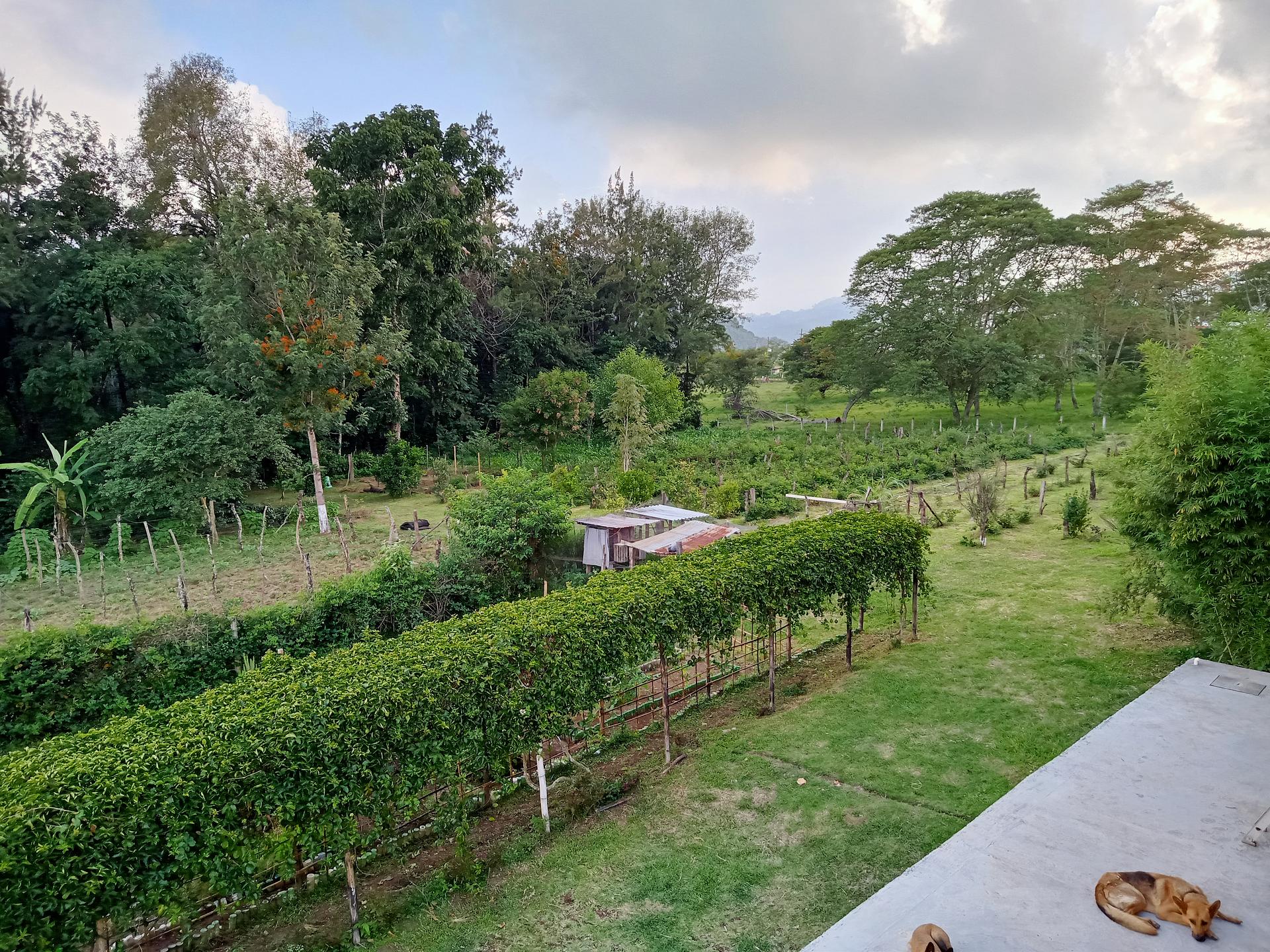 Finca Agroecológica Don Gervasio