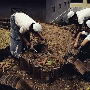 Kampong Farm (Kebun Master)