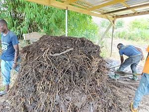 Organic fertilizer production
