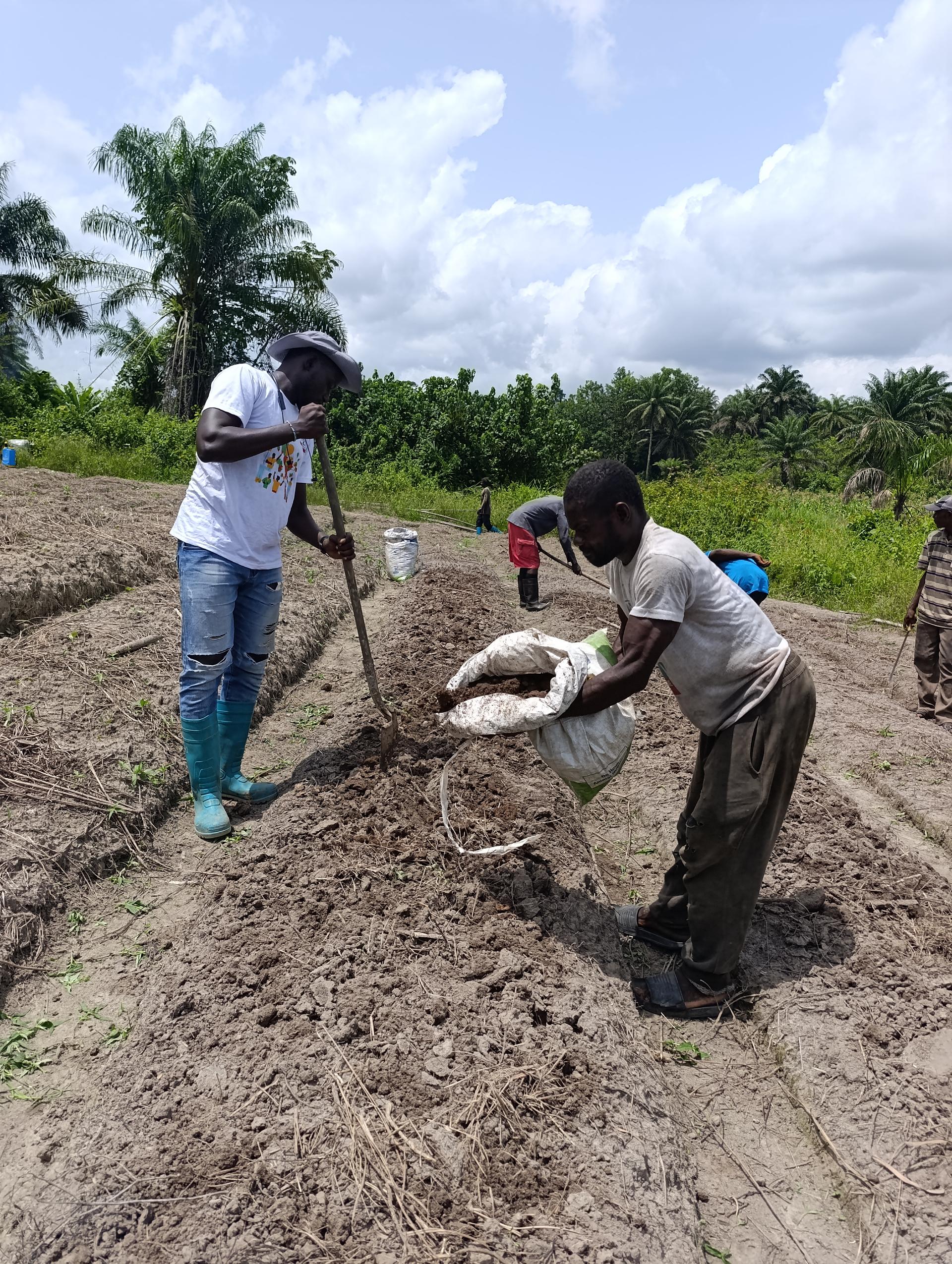 Kollita wola Farmer Field School