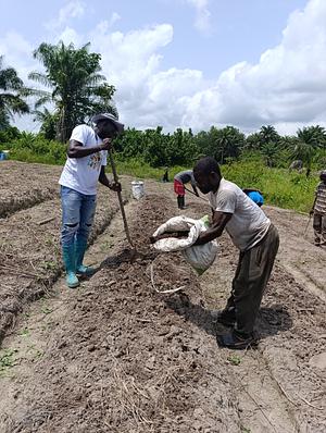 Kollita wola Farmer Field School