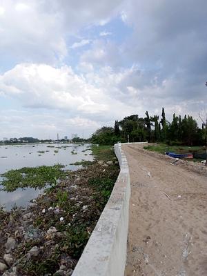 "Proposed site for Bio-engineered Riverbanks along the Saigon River. Integrating Pongamia into this urban infrastructure will...