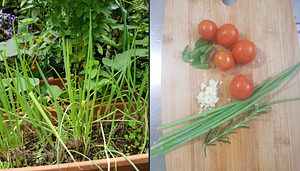 There is no better taste than the taste of our garden